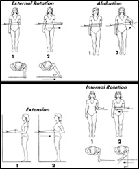 Rotator Cuff Repair